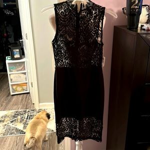 Black lace dress by Windsor
